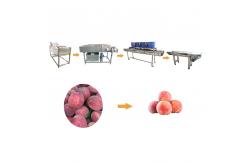 China Peach Cleaning Drying Machine Vegetable Cutter And Washing Machine Line supplier