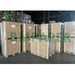 White Hot Coffee Cups Paper Material 350gsm Thickened Paper Stock for sale