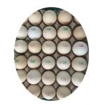 12V 4A Digital Egg Printing Machine , Automatic Batch Code Printing Machine 