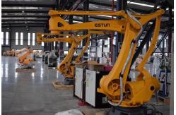 China Premium Industrial Robots For Automation Chinese  ER180 Palletizing supplier