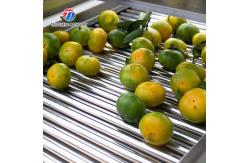 China 350KG 380V Fruit And Vegetable Air Drying Machine Large Parallel Air Drying Machine supplier