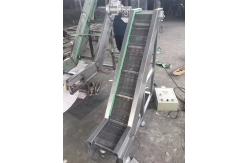 China                  Palletizing Roller Conveyor for Carton and Bag, with Pallet Magazine              supplier