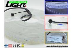 China 12v DC IP68 17W SMD5050 Flexible Led Strip Lights supplier