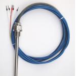 WZP Temperature resistant thermo resistant PT100  Pt50  temperature sensor