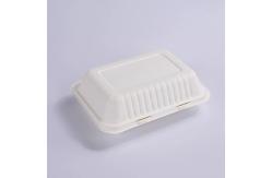 China 9 X 6In Sugarcane Bagasse Clamshell Biodegradable Disposable Lunch Box supplier