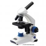 Monocular Head Cordless Biological Microscope For Student A11.0021 for sale