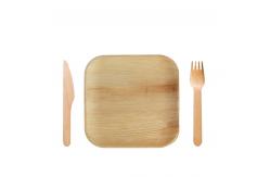 China Square Biodegradable Disposable Tableware supplier