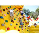 Inflatable Amusement  Park With Golden Rock Climbing Wall , Printed Partern