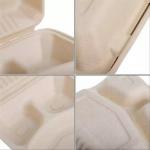 Biodegradable Eco Friendly 3 Compartment Bagasse Clamshell Containers 8 10 Inch