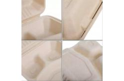 China Biodegradable Eco Friendly 3 Compartment Bagasse Clamshell Containers 8 10 Inch supplier