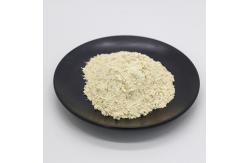 China Customized Food Grade Pancreas Pepsin FSSC22000 MUI Kosher System Approval supplier