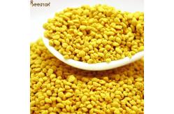 China Pure Fresh Raw Bee Pollen 100% Natural With Big Granual supplier