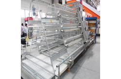 China Hot Galvanized Wire Mesh Battery Cage System For Layers A Frame supplier