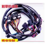 OEM auto  ECU cable auto harness with waterproof automotive wire assembly for sale