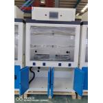 Vertical Sliding Sash Opening Filter Fume Hood Manufacturers for 220V/50Hz Power Supply in Lab Experiments for sale