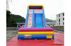 China Waterproof Commercial Inflatable Slide / Nemo Inflatable Dry Slide supplier