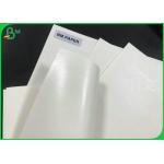 Food Grade Certified Biodegradable PLA Coating Cup 210G Kraft Paper Boards for sale