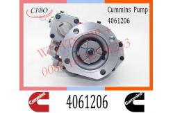China Cummins Diesel NT855 Engine Fuel Injection Pump 4061206 4951495 4951501 3042115 supplier