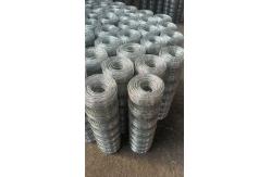 China Silver Chain Link Fence Varying Link Length Durable Powder Coated Coating supplier