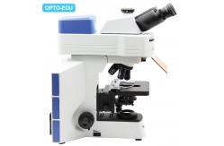 China APO Objective Infinity Trinocular Fluorescence Microscope with Disc LED  A16.0908-L supplier