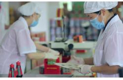 China Wasabi Seasoning manufacturer