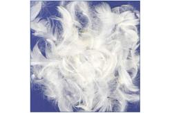 China Feather and down Marerial White Duck Down supplier