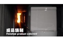 China Wall Hung Toilet manufacturer