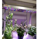 Steel Structure Hydroponic Container Greenhouse with Multi-Span Vertical Farming System