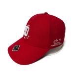 Common Fabric 3d Puff Embroidered Baseball Caps With Stickers Brim for sale