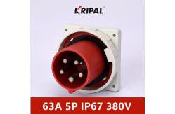 China IEC standard Three Phase Waterproof Panel Mounted Plug 63A 220V IP67 supplier