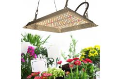 China Horticulture Manual Dimming lm301B LED Full Spectrum Grow Lights supplier