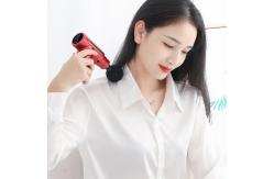 China Multifunctional Portable Electric Meridian Massager 1800mAh supplier