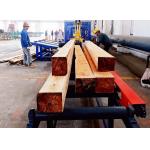 Industrial Sawmills Twin Bandsaw Production Line Wood Product Processing Line for sale