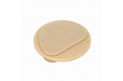 China Amann Girrbach PMMA Discs Dental D Shape Block Resin Lab Material supplier