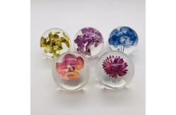 China Real Flower Paperweight Dia80mm With Hydrangea Inside supplier
