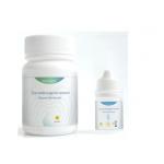 Zinc Oxide & Zinc Acetate Powder / Liquid Mix Root Canal Endodontics For Temporary Filling & Sealing for sale