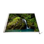 LTM14C506F 14.1 Inch 1024*768 TFT-LCD Screen For Laptop for sale