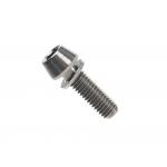 Titanium Hexagon Socket Head Cap Bolts Titanium Fastener