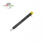 Common Rail Diesel Fuel Injector EJBR03701D 33800-4X800 for Delphi Engine