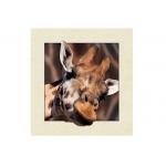 Animal Stock 5D 3D Lenticular Pictures PET Printing Service Deer image for sale