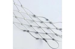 China Ferruled Rope Zoo Wire Mesh Fence Green Wall Mesh Safety Net Black Oxide supplier