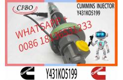 China Fuel Injector Assembly 2867147 2882077 4955524 Y431KO5393 2882078For Qsk19 Engine supplier