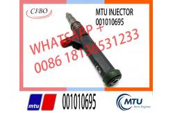 China Diesel Fuel Injector VTO-G166W48B 001010695 For MTU 4000 ENGINE supplier