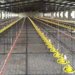 Linear Feeder Poultry Automatic Pan Feeding System for sale
