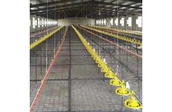 China Linear Feeder Poultry Automatic Pan Feeding System supplier