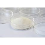 Enzyme For Pipe Cleaning, Enzyme Complex, Suitable For Pipeline Cleaning In The Food Processing Industry for sale