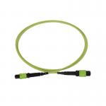 50/125 OM5 Mpo Fiber Jumper Mtp Mpo Fiber Patch Cable 3.0mm PVC for sale