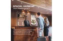 China 55'' 30'' Self Emission Capacitive Touch Display PCAP Table Stand Transparent OLED Signage supplier