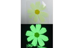 China Customized Glow In The Dark Logo Waterproof Luminous Heat Transfer supplier