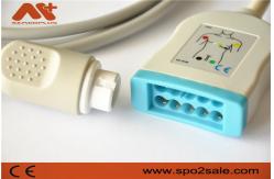 China ODM ECG Patient Cable Philips M1663A supplier